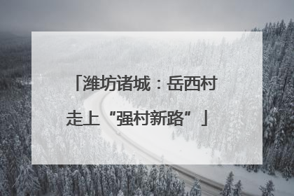 潍坊诸城：岳西村走上“强村新路”