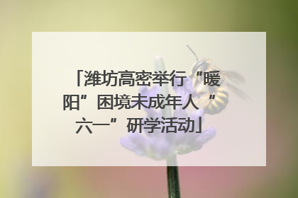 潍坊高密举行“暖阳”困境未成年人“六一”研学活动
