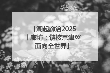 潮起廊洽2025丨廊坊：链接京津冀 面向全世界