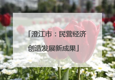 澄江市：民营经济创造发展新成果