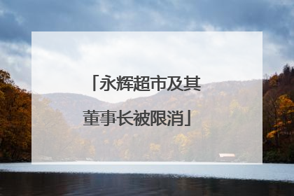 永辉超市及其董事长被限消