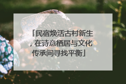 民宿焕活古村新生，在诗意栖居与文化传承间寻找平衡