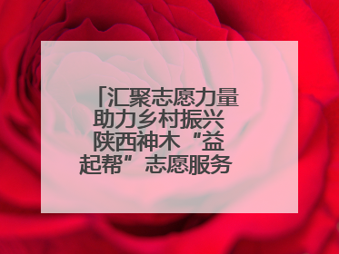 汇聚志愿力量 助力乡村振兴 陕西神木“益起帮”志愿服务项目成效显著