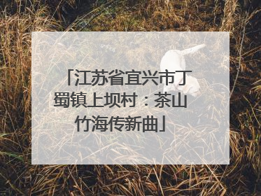 江苏省宜兴市丁蜀镇上坝村：茶山竹海传新曲