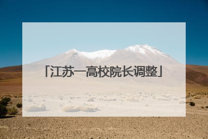 江苏一高校院长调整