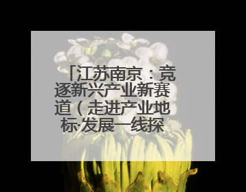 江苏南京：竞逐新兴产业新赛道（走进产业地标·发展一线探变化）