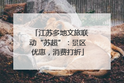 江苏多地文旅联动“苏超”：景区优惠，消费打折