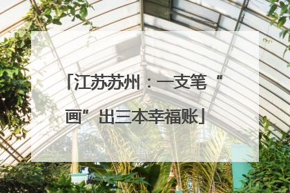 江苏苏州：一支笔“画”出三本幸福账