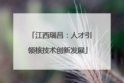 江西瑞昌：人才引领核技术创新发展
