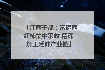 江西于都：富硒西红柿集中采收 精深加工延伸产业链