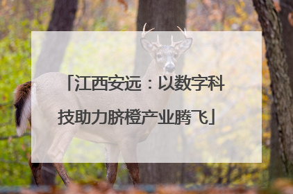 江西安远：以数字科技助力脐橙产业腾飞