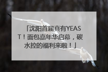 沈阳首届真有YEAST！面包嘉年华启幕，碳水控的福利来啦！