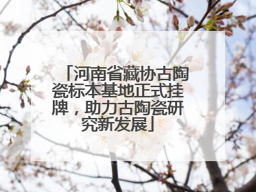 河南省藏协古陶瓷标本基地正式挂牌，助力古陶瓷研究新发展
