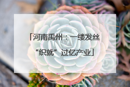 河南禹州：一缕发丝“织就”过亿产业