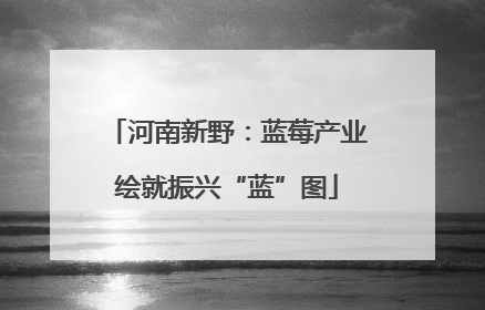 河南新野：蓝莓产业绘就振兴“蓝”图