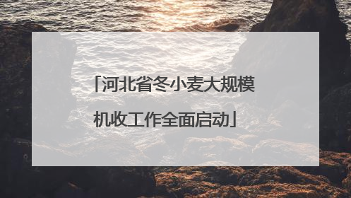 河北省冬小麦大规模机收工作全面启动