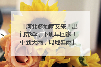 河北多地雨又来！出门带伞，下班早回家！中到大雨，局地暴雨