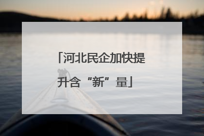 河北民企加快提升含“新”量