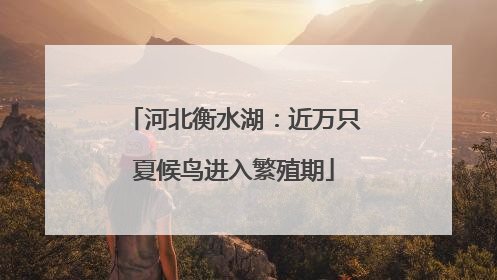 河北衡水湖：近万只夏候鸟进入繁殖期