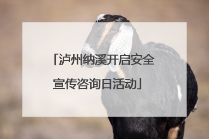 泸州纳溪开启安全宣传咨询日活动
