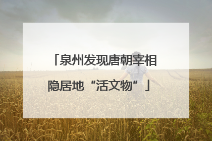 泉州发现唐朝宰相隐居地“活文物”