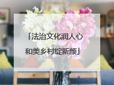 法治文化润人心 和美乡村绽新颜