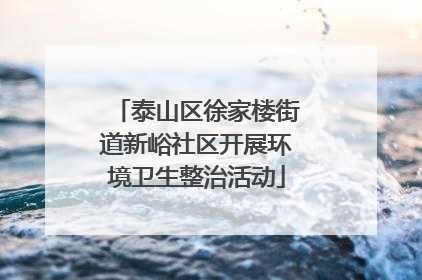 泰山区徐家楼街道新峪社区开展环境卫生整治活动