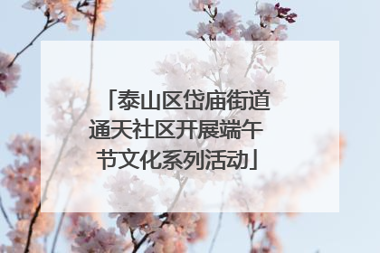 泰山区岱庙街道通天社区开展端午节文化系列活动