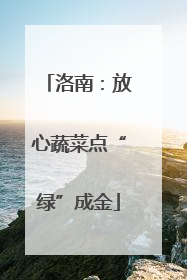 洛南：放心蔬菜点“绿”成金
