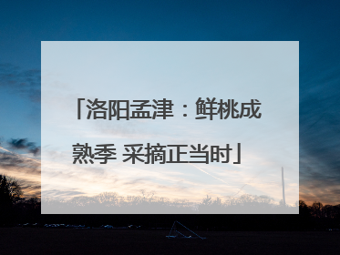 洛阳孟津：鲜桃成熟季 采摘正当时