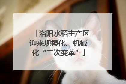 洛阳水稻主产区迎来规模化、机械化“二次变革”