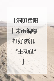 洞见岳阳丨未雨绸缪 打好防汛“主动仗”