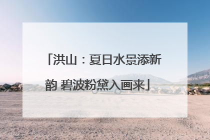 洪山：夏日水景添新韵 碧波粉黛入画来