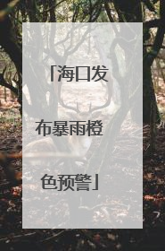 海口发布暴雨橙色预警