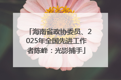 海南省政协委员、2025年全国先进工作者陈峰：光影捕手