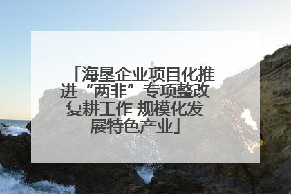 海垦企业项目化推进“两非”专项整改复耕工作 规模化发展特色产业
