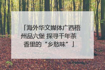海外华文媒体广西梧州品六堡 探寻千年茶香里的“乡愁味”