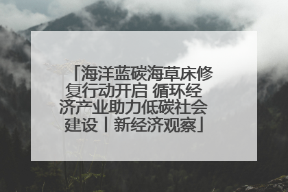 海洋蓝碳海草床修复行动开启 循环经济产业助力低碳社会建设丨新经济观察