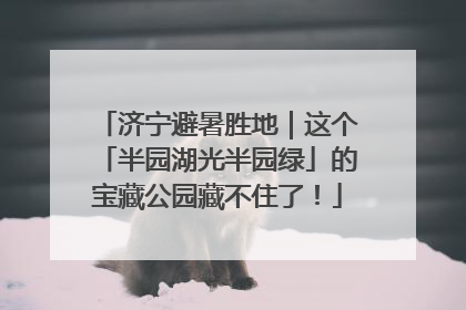 济宁避暑胜地｜这个「半园湖光半园绿」的宝藏公园藏不住了！