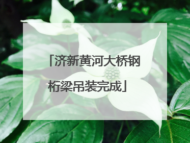 济新黄河大桥钢桁梁吊装完成