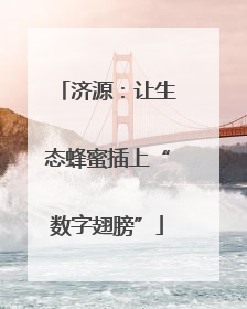 济源：让生态蜂蜜插上“数字翅膀”