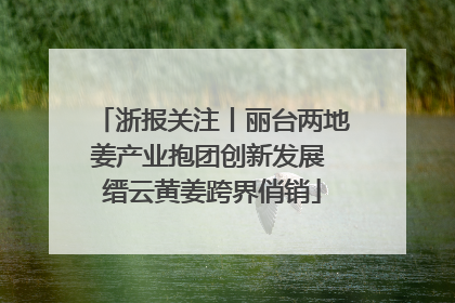 浙报关注丨丽台两地姜产业抱团创新发展 缙云黄姜跨界俏销