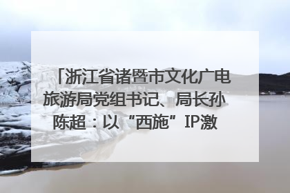 浙江省诸暨市文化广电旅游局党组书记、局长孙陈超：以“西施”IP激活全域旅游 打造县域文旅融合新标杆｜第七届全国县域旅游研究成果发布系列活动
