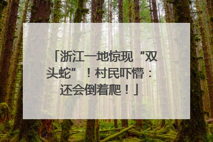 浙江一地惊现“双头蛇”！村民吓懵：还会倒着爬！