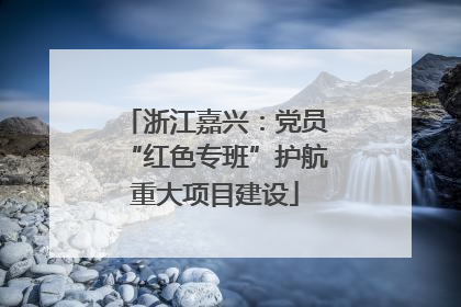 浙江嘉兴：党员“红色专班”护航重大项目建设
