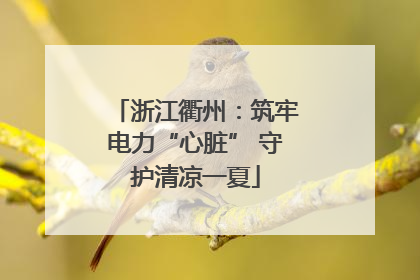 浙江衢州：筑牢电力“心脏” 守护清凉一夏