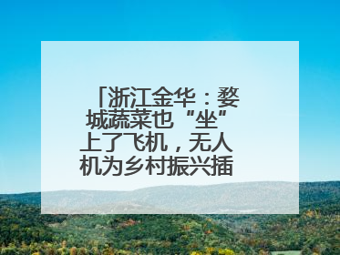 浙江金华：婺城蔬菜也“坐”上了飞机，无人机为乡村振兴插上“翅膀”