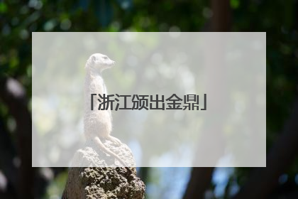 浙江颁出金鼎