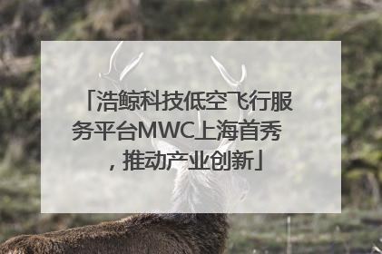 浩鲸科技低空飞行服务平台MWC上海首秀，推动产业创新