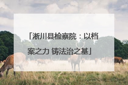 淅川县检察院：以档案之力 铸法治之基